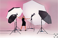 Lastolite Umbrellas Box