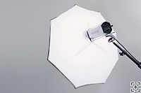 Lastolite Umbrellas Box