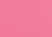 Lastolite tło Plain Collapsible Background